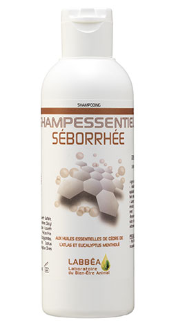 shampessentiel-seborrhee